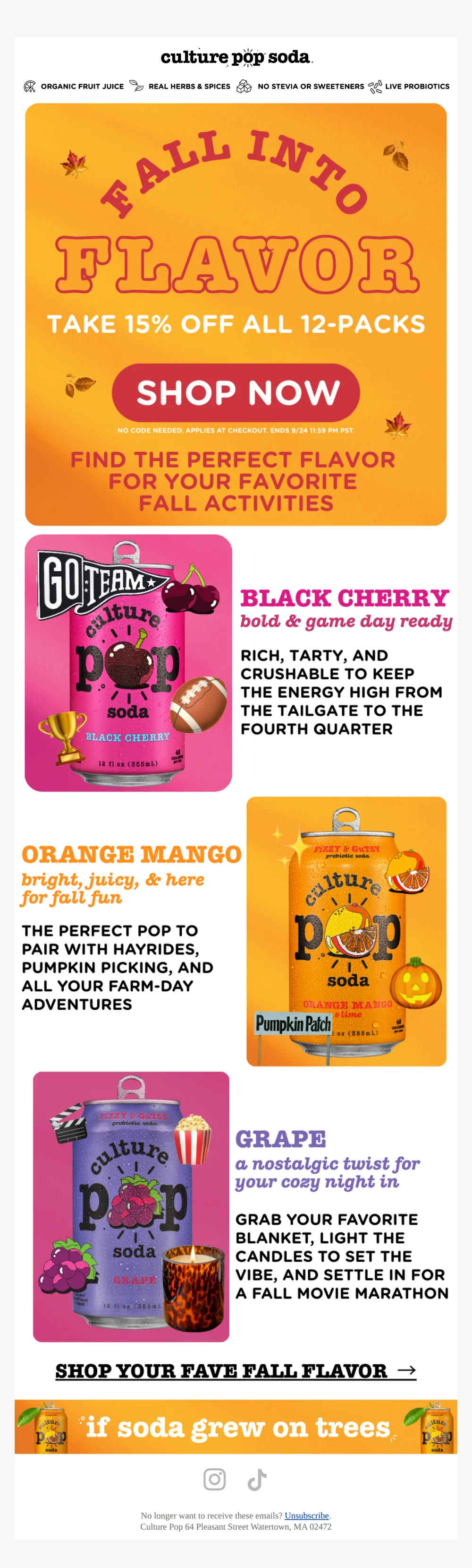 Fall into Flavor with 15% OFF 🍂🥤