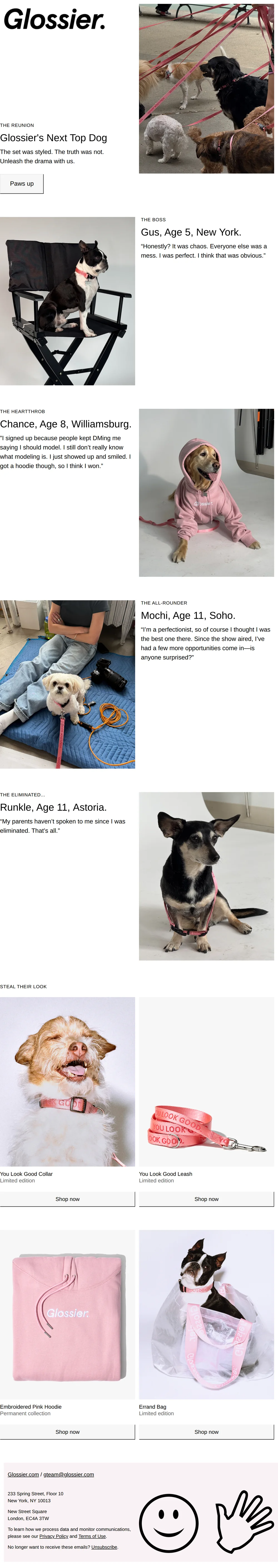 Glossier’s Next Top Dog: The Reunion