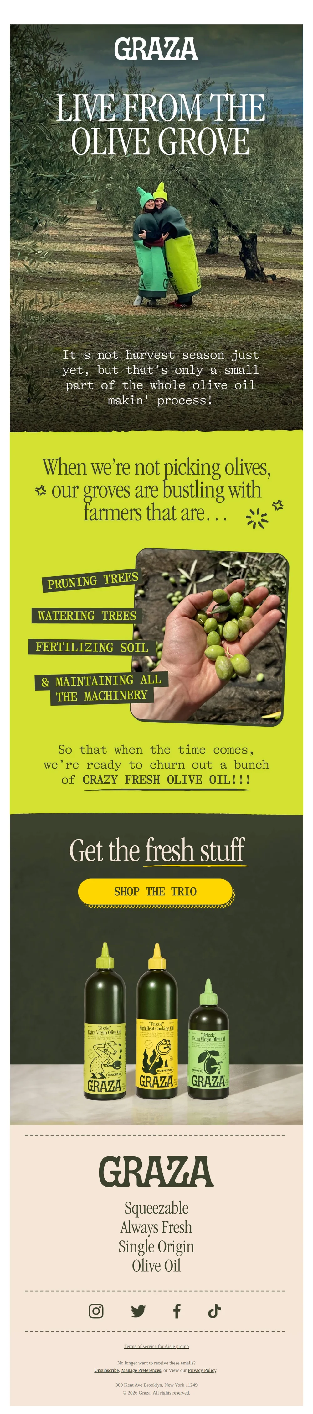 Graza email with subject line: Live from The Olive Grove 🫒